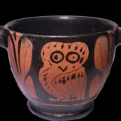Greek Owl Cup
